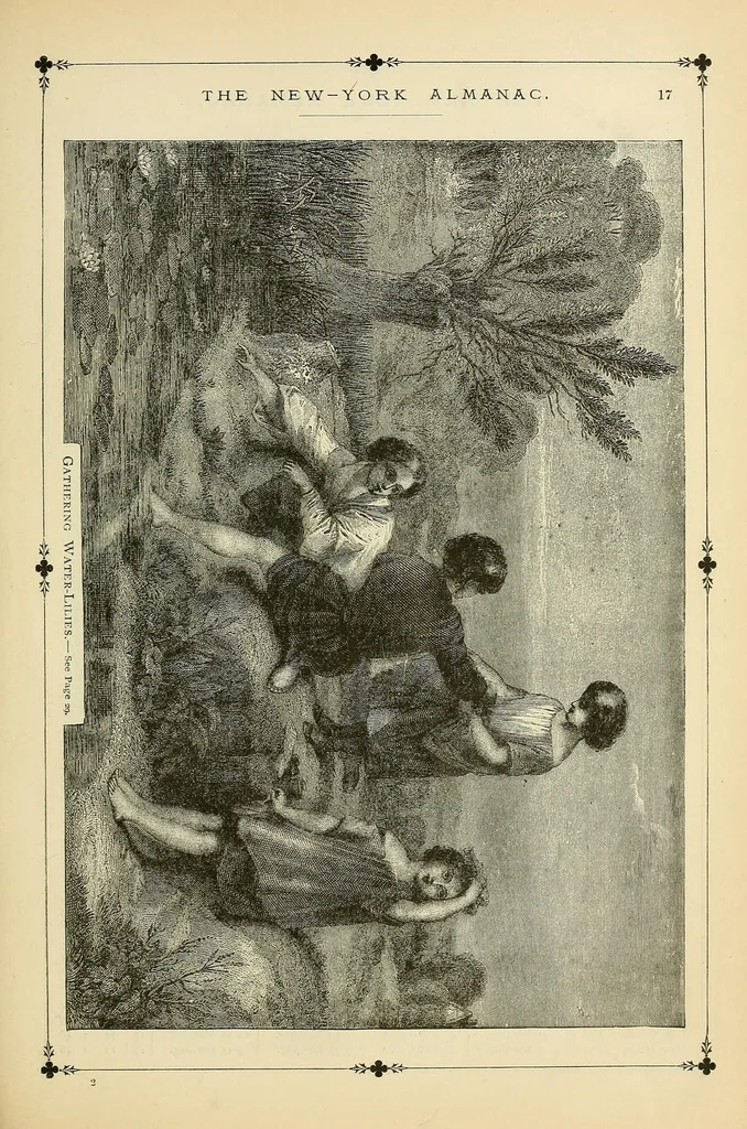 An illustration from The New-York almanac for 1876, 1876, leaf 451
