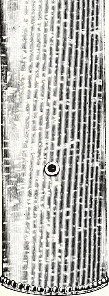 An illustration from New York City record and building trades directory, 1892, leaf 226