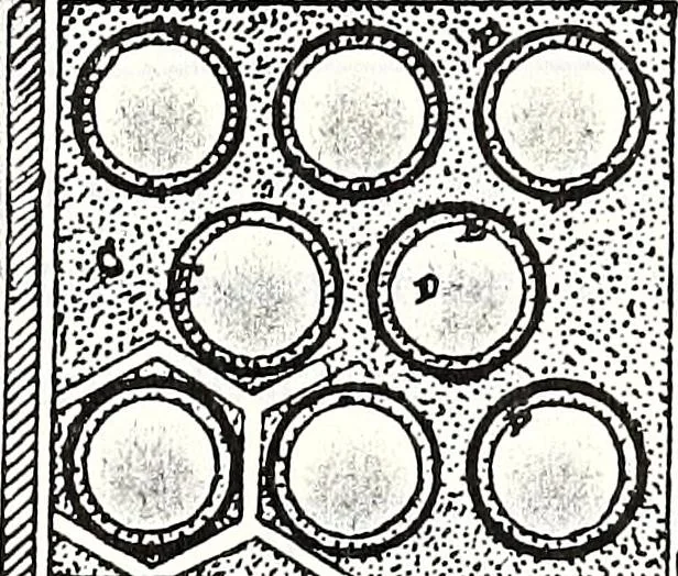 An illustration from New York City record and building trades directory, 1892, leaf 68