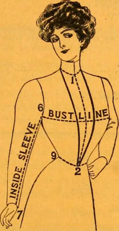 An illustration from New York fashions., 1907, leaf 4