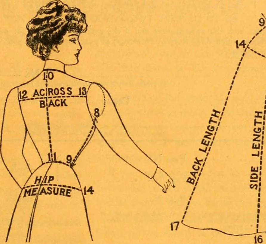 An illustration from New York fashions., 1907, leaf 4
