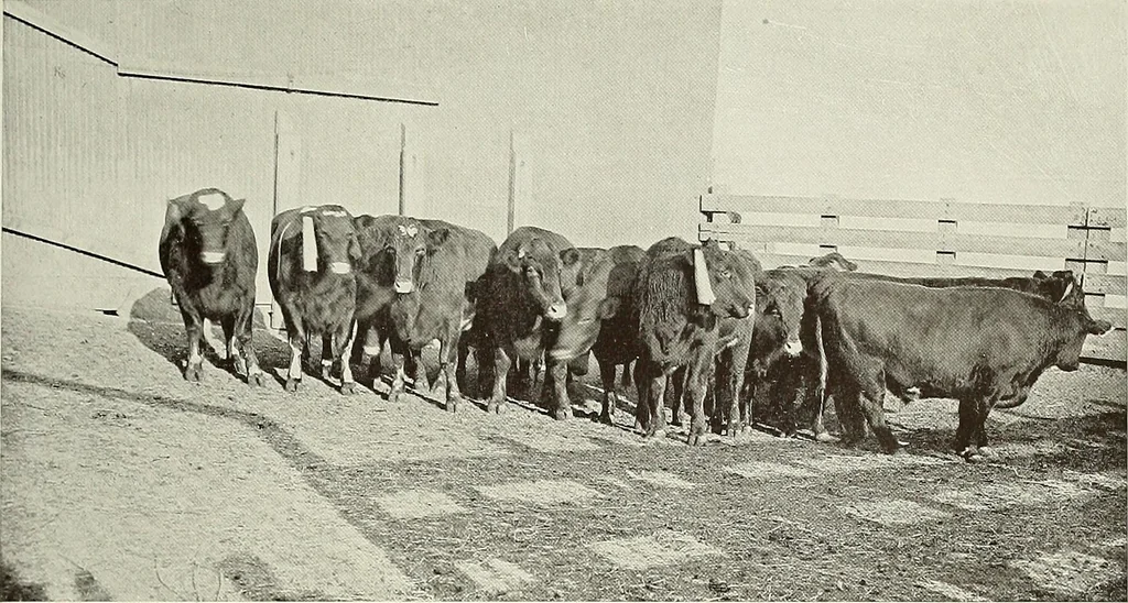 An illustration from New York plaisance, 1908, leaf 106