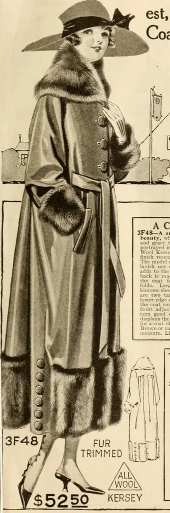 An illustration from New York styles : fall and winter 1919-1920., 1919, leaf 10