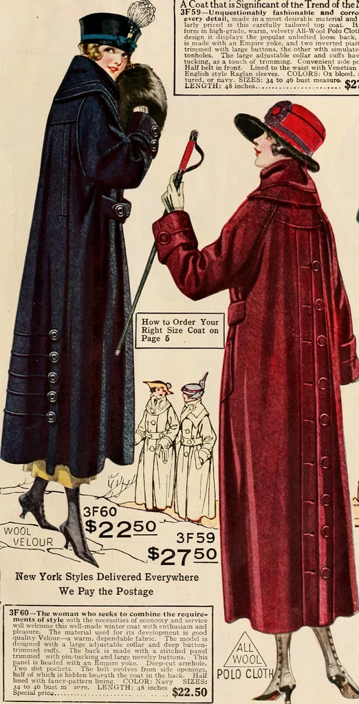 An illustration from New York styles : fall and winter 1919-1920., 1919, leaf 14