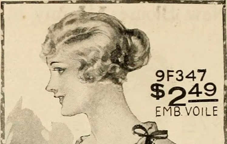 An illustration from New York styles : fall and winter 1919-1920., 1919, leaf 49