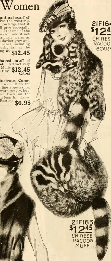 An illustration from New York styles : fall and winter 1919-1920., 1919, leaf 76