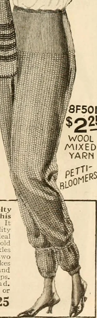 An illustration from New York styles : fall and winter 1919-1920., 1919, leaf 88