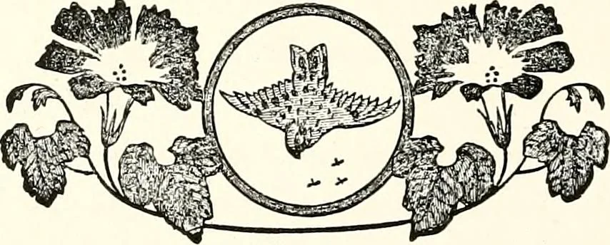 An illustration from The next world interviewed, 1896, leaf 195