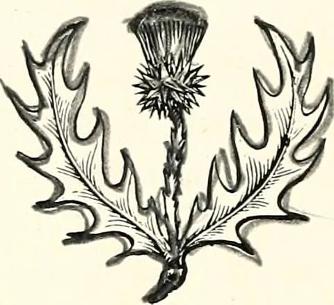 An illustration from The next world interviewed, 1896, leaf 233