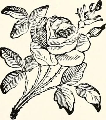 An illustration from The next world interviewed, 1896, leaf 246