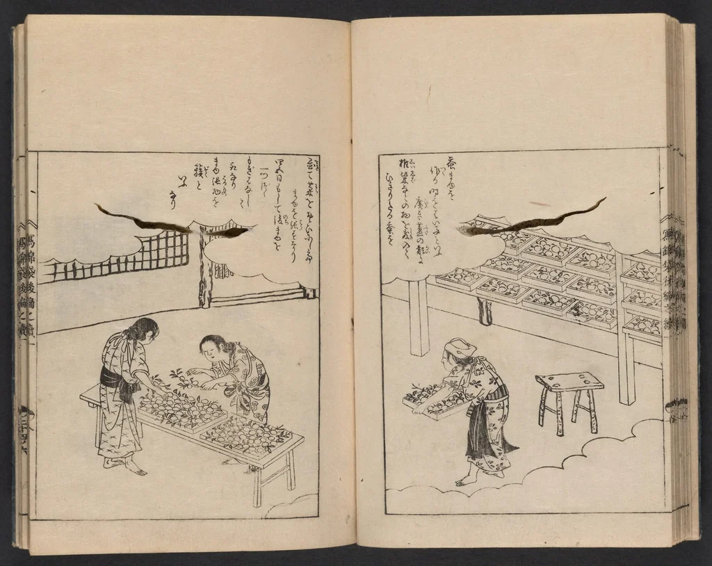 An illustration from Nezashi takara, 1745, leaf 17