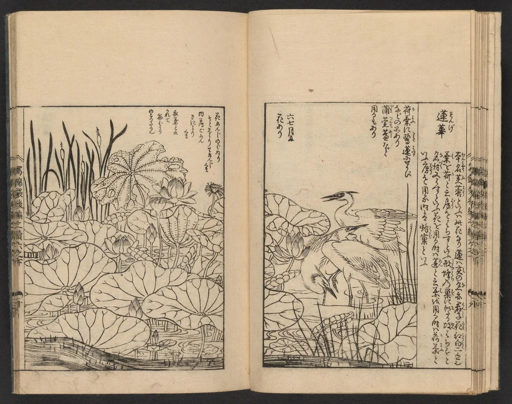 An illustration from Nezashi takara, 1745, leaf 12