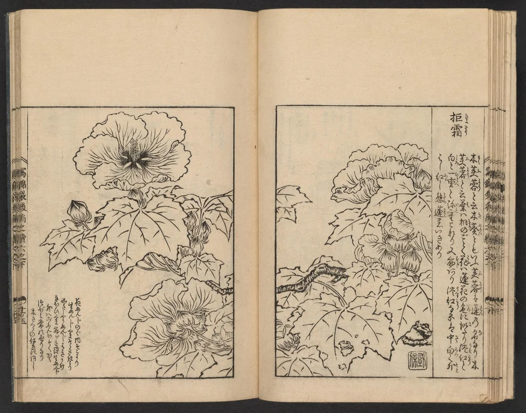 An illustration from Nezashi takara, 1745, leaf 13