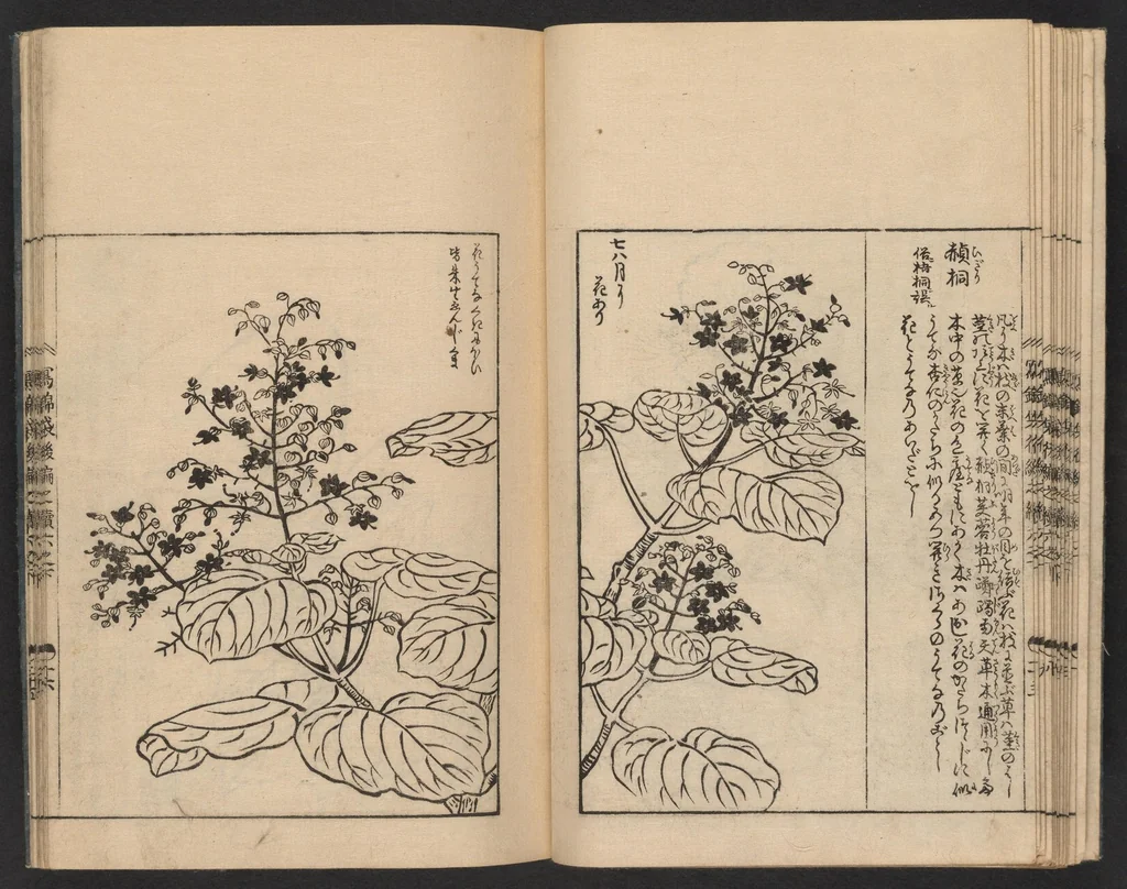 An illustration from Nezashi takara, 1745, leaf 14