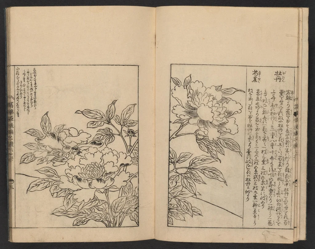 An illustration from Nezashi takara, 1745, leaf 5