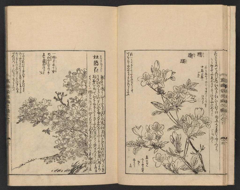 An illustration from Nezashi takara, 1745, leaf 8