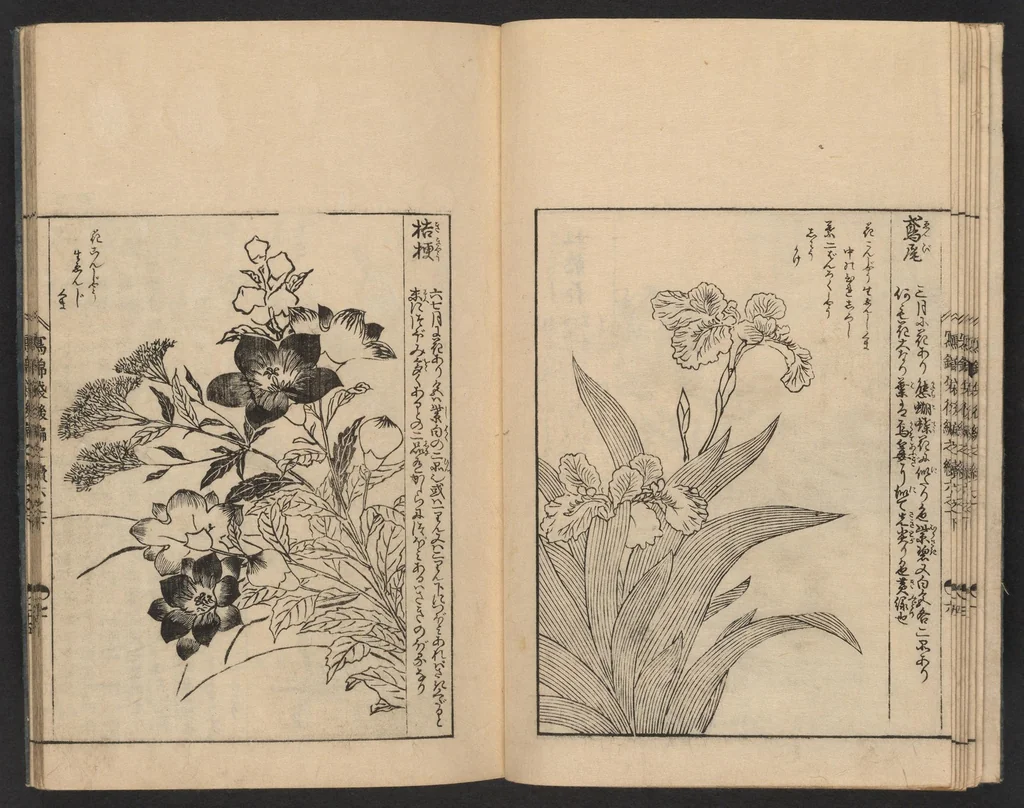 An illustration from Nezashi takara, 1745, leaf 9