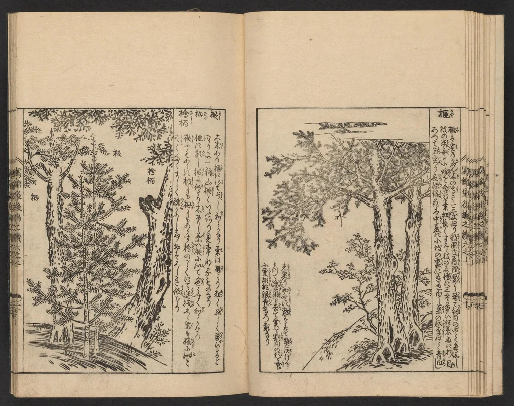 An illustration from Nezashi takara, 1745, leaf 13