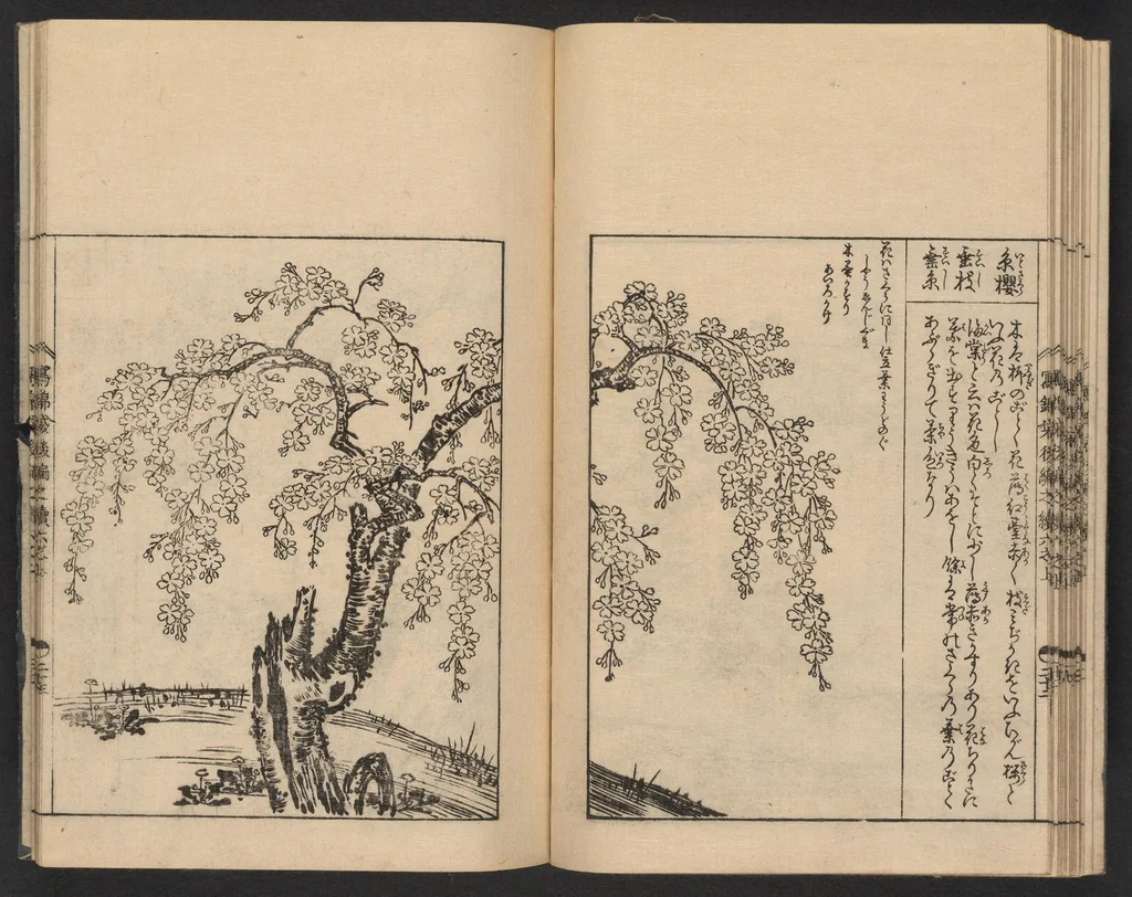 An illustration from Nezashi takara, 1745, leaf 19