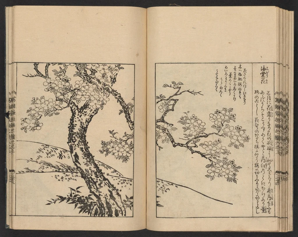 An illustration from Nezashi takara, 1745, leaf 21