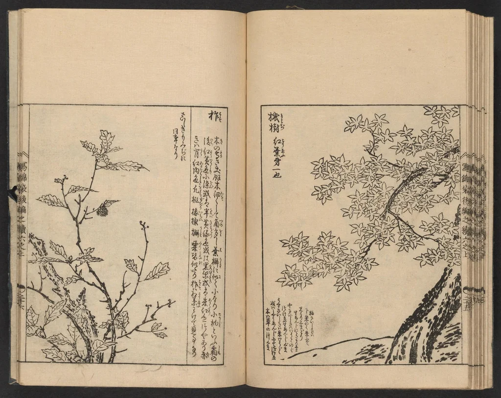An illustration from Nezashi takara, 1745, leaf 22