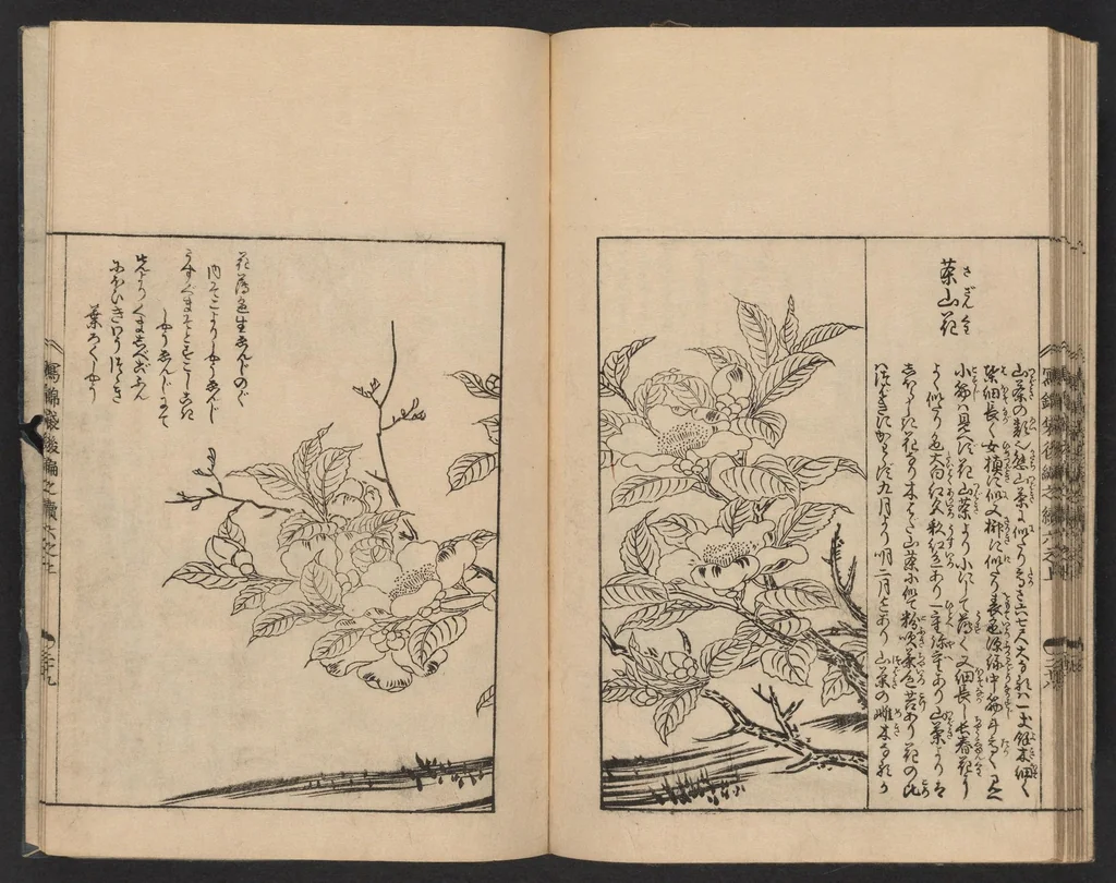 An illustration from Nezashi takara, 1745, leaf 25