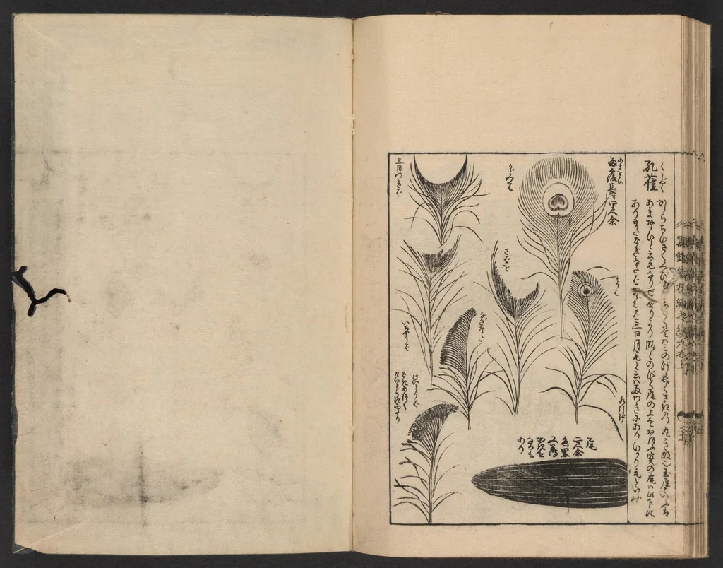 An illustration from Nezashi takara, 1745, leaf 28