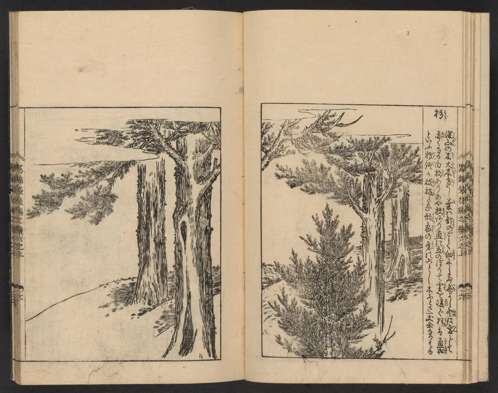 An illustration from Nezashi takara, 1745, leaf 9