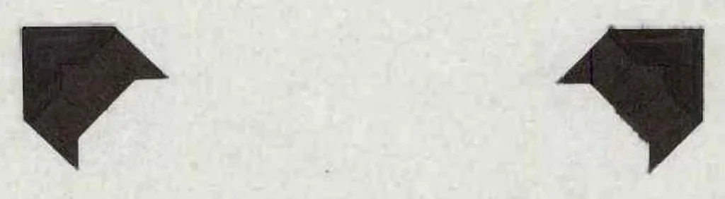 An illustration from A Preliminary Study of the Coleoptera Attacked White Fir (Abies Concolor), 1930, leaf 77
