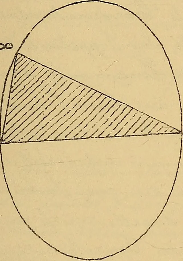 An illustration from Nicht-Euklidische Geometrie, 1893, leaf 132