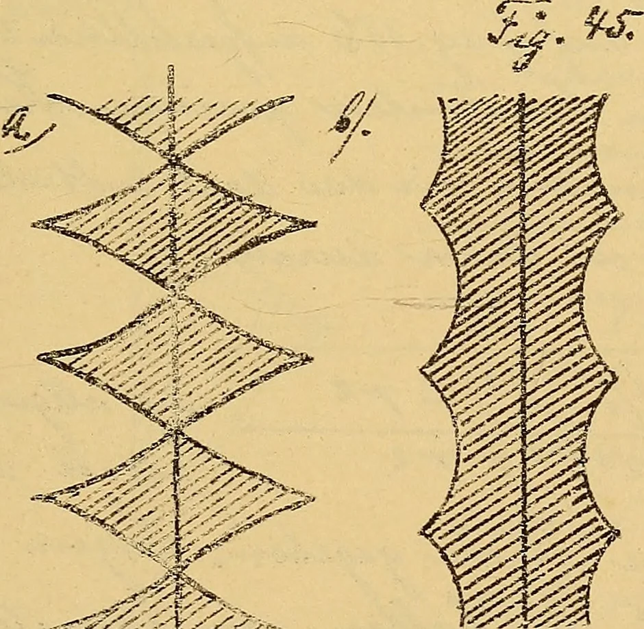An illustration from Nicht-Euklidische Geometrie, 1893, leaf 196