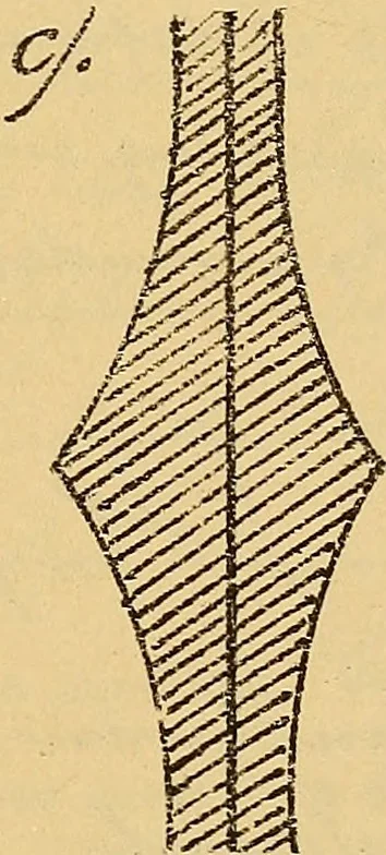 An illustration from Nicht-Euklidische Geometrie, 1893, leaf 196