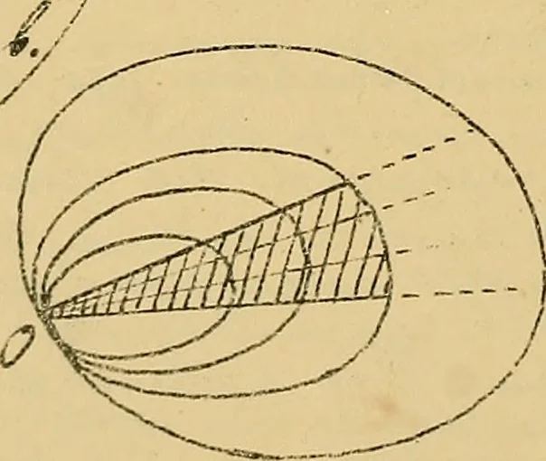 An illustration from Nicht-Euklidische Geometrie, 1893, leaf 203