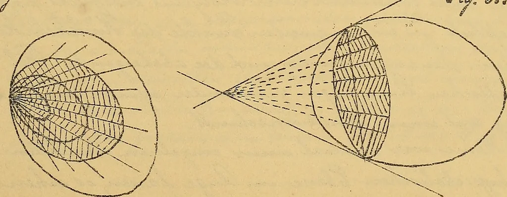 An illustration from Nicht-Euklidische Geometrie, 1893, leaf 204