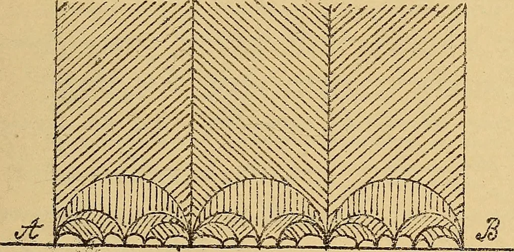 An illustration from Nicht-Euklidische Geometrie, 1893, leaf 312