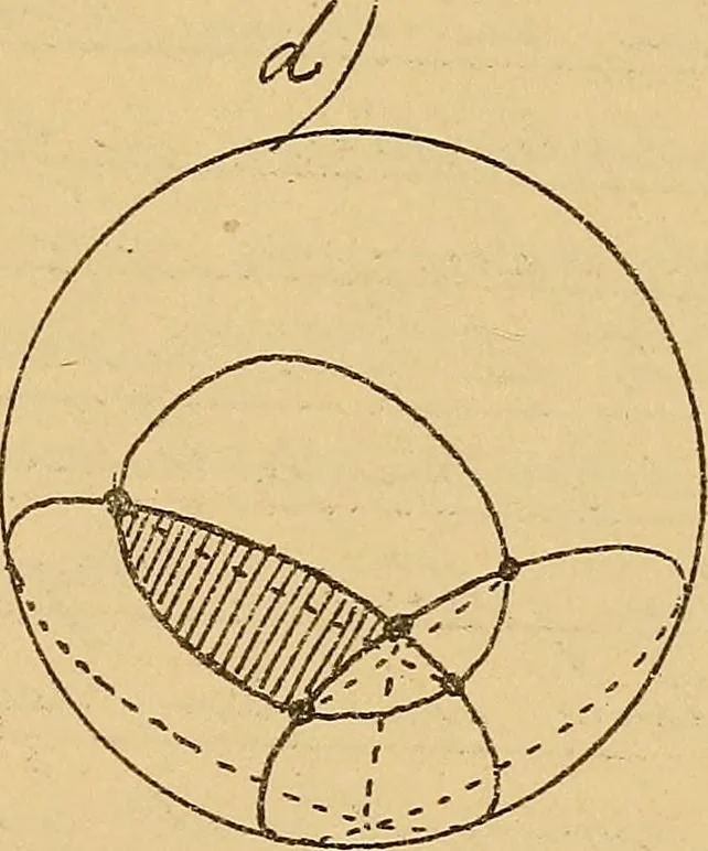 An illustration from Nicht-Euklidische Geometrie, 1893, leaf 178