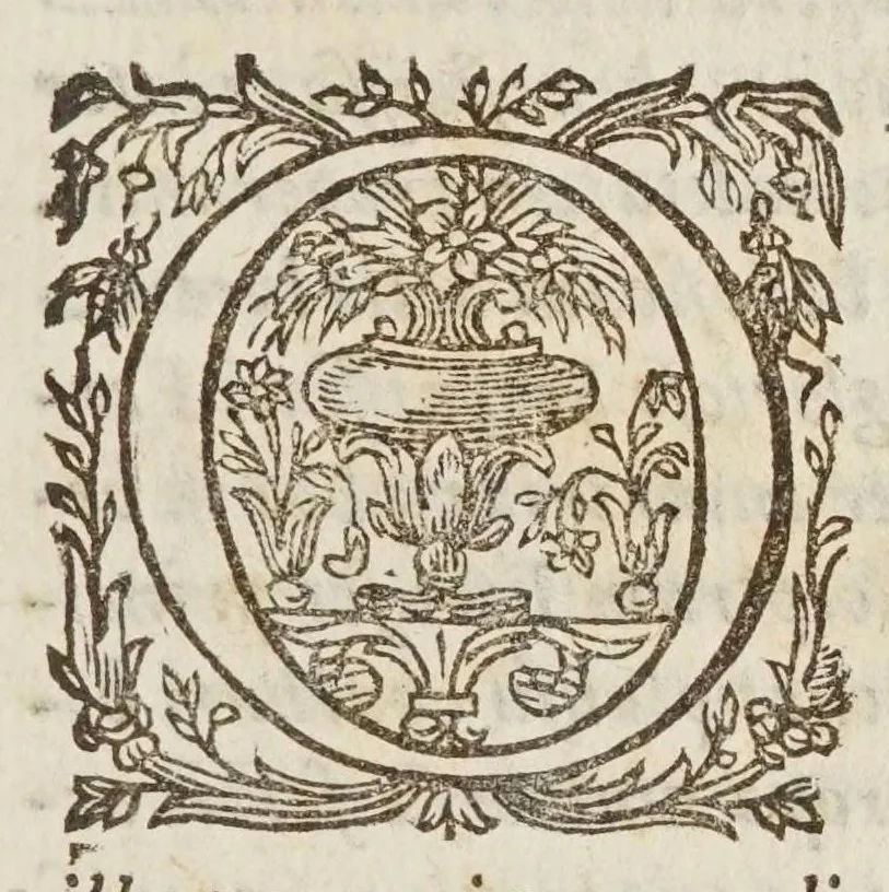 An illustration from Nicolai Adivnctii bvrgensis Oratio de mathematicae avdibvs habita in florentissima Pisarum Academia cum ibidem publicam illius scientiae explicationem aggressurus foret, 1627, leaf 7