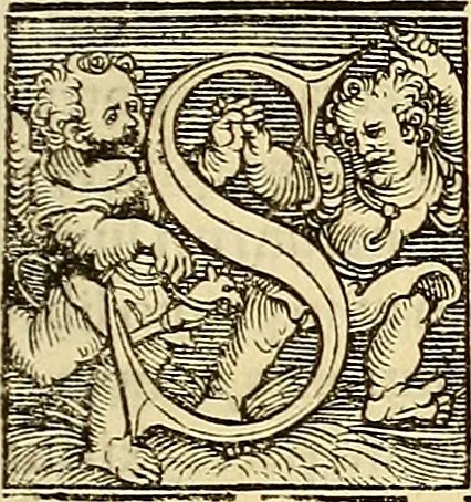 An illustration from Nicolai Copernici Torinensis De reuolutionibus orbium coelestium, libri VI : Habes in hoc opere iam recens nato, & aedito, studiose lector, motus stellarum, tam fixarum, quàm erraticarum, cum ex ueteribus, tum etiam ex recentibus obseruationibus restitutos: & nouis insuper ac admirabilibus hypothesibus ornatos. Habes etiam tabulas expeditissimas, ex quibus eosdem ad quoduis tempus quàm facillime caculare poteris. Igitur eme, lege, fruere. [Line in Greek], 1543, leaf 142