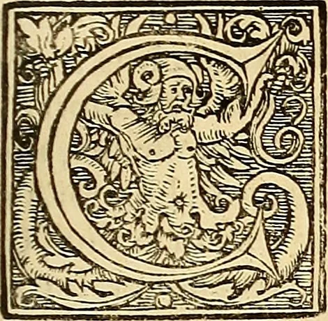 An illustration from Nicolai Copernici Torinensis De reuolutionibus orbium coelestium, libri VI : Habes in hoc opere iam recens nato, & aedito, studiose lector, motus stellarum, tam fixarum, quàm erraticarum, cum ex ueteribus, tum etiam ex recentibus obseruationibus restitutos: & nouis insuper ac admirabilibus hypothesibus ornatos. Habes etiam tabulas expeditissimas, ex quibus eosdem ad quoduis tempus quàm facillime caculare poteris. Igitur eme, lege, fruere. [Line in Greek], 1543, leaf 212