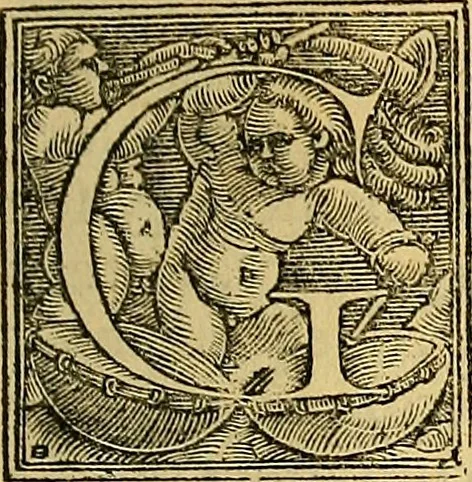 An illustration from Nicolai Leoniceni uiri doctissimi De Plinii et aliorum medicorum erroribus liber : cui addita sunt quaedam eiusdem autoris De herbis & fruticibus. Animalibus. Metallis. Serpentibus. Tiro seu uipera. Nicoleos uere dictus, Victoria nomen praebet, Aristotelem uincit & Hippocratem, 1529, leaf 20