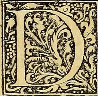 An illustration from Nicolai Leoniceni uiri doctissimi De Plinii et aliorum medicorum erroribus liber : cui addita sunt quaedam eiusdem autoris De herbis & fruticibus. Animalibus. Metallis. Serpentibus. Tiro seu uipera. Nicoleos uere dictus, Victoria nomen praebet, Aristotelem uincit & Hippocratem, 1529, leaf 229
