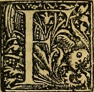 An illustration from Nicolai Leoniceni uiri doctissimi De Plinii et aliorum medicorum erroribus liber : cui addita sunt quaedam eiusdem autoris De herbis & fruticibus. Animalibus. Metallis. Serpentibus. Tiro seu uipera. Nicoleos uere dictus, Victoria nomen praebet, Aristotelem uincit & Hippocratem, 1529, leaf 328
