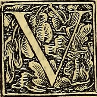 An illustration from Nicolai Leoniceni uiri doctissimi De Plinii et aliorum medicorum erroribus liber : cui addita sunt quaedam eiusdem autoris De herbis & fruticibus. Animalibus. Metallis. Serpentibus. Tiro seu uipera. Nicoleos uere dictus, Victoria nomen praebet, Aristotelem uincit & Hippocratem, 1529, leaf 71