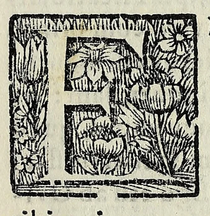 An illustration from Nicolai Parthenii Giannettasii Neapolit. Soc. Jesu. Halieutica, 1689, leaf 11