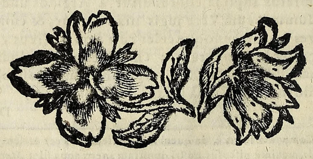 An illustration from Nicolai Parthenii Giannettasii Neapolit. Soc. Jesu. Halieutica, 1689, leaf 128