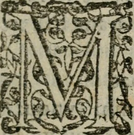 An illustration from Nicolai Vernulaei caesari regijque historiographi, & publici eloquentiae ac politices professoris Louanij, Imperatorvm symbola praeclaris regum, principumque nec-non variorum scriptorum exemplis illustrata : quibus accedit Commentarius in Andreae Alciati Emblemata vsque ad emblema XV, 1650, leaf 138