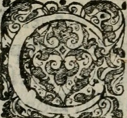 An illustration from Nicolai Vernulaei caesari regijque historiographi, & publici eloquentiae ac politices professoris Louanij, Imperatorvm symbola praeclaris regum, principumque nec-non variorum scriptorum exemplis illustrata : quibus accedit Commentarius in Andreae Alciati Emblemata vsque ad emblema XV, 1650, leaf 155