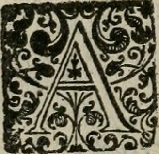 An illustration from Nicolai Vernulaei caesari regijque historiographi, & publici eloquentiae ac politices professoris Louanij, Imperatorvm symbola praeclaris regum, principumque nec-non variorum scriptorum exemplis illustrata : quibus accedit Commentarius in Andreae Alciati Emblemata vsque ad emblema XV, 1650, leaf 233