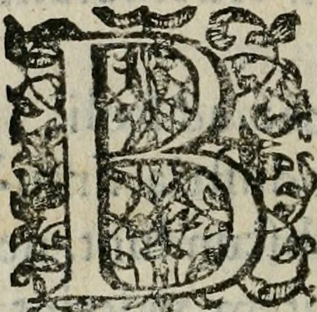 An illustration from Nicolai Vernulaei caesari regijque historiographi, & publici eloquentiae ac politices professoris Louanij, Imperatorvm symbola praeclaris regum, principumque nec-non variorum scriptorum exemplis illustrata : quibus accedit Commentarius in Andreae Alciati Emblemata vsque ad emblema XV, 1650, leaf 275