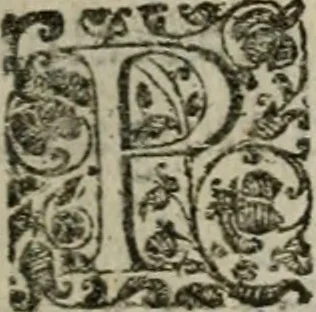 An illustration from Nicolai Vernulaei caesari regijque historiographi, & publici eloquentiae ac politices professoris Louanij, Imperatorvm symbola praeclaris regum, principumque nec-non variorum scriptorum exemplis illustrata : quibus accedit Commentarius in Andreae Alciati Emblemata vsque ad emblema XV, 1650, leaf 364